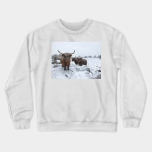 Scottish Highland Cattle Cows and Calf 1984 Crewneck Sweatshirt